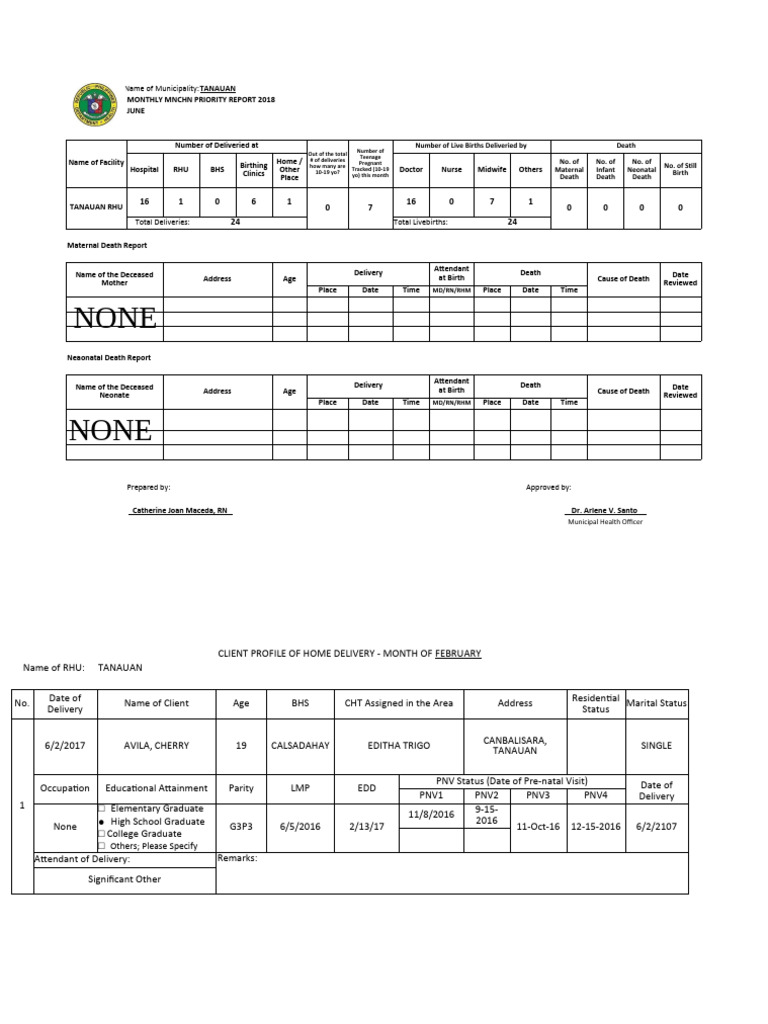 Tanauan Monthly MNCHN Report June 2018 | PDF | Childbirth | Infants