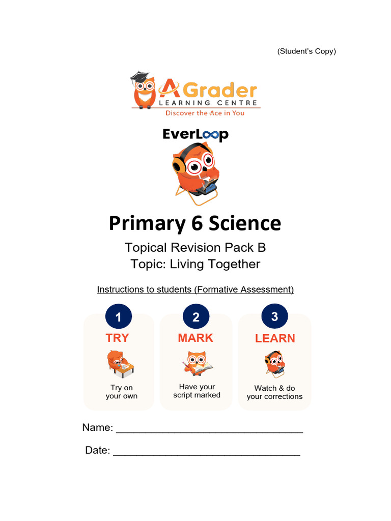 Living Together: Primary 6 Science Notes | PDF | Pond