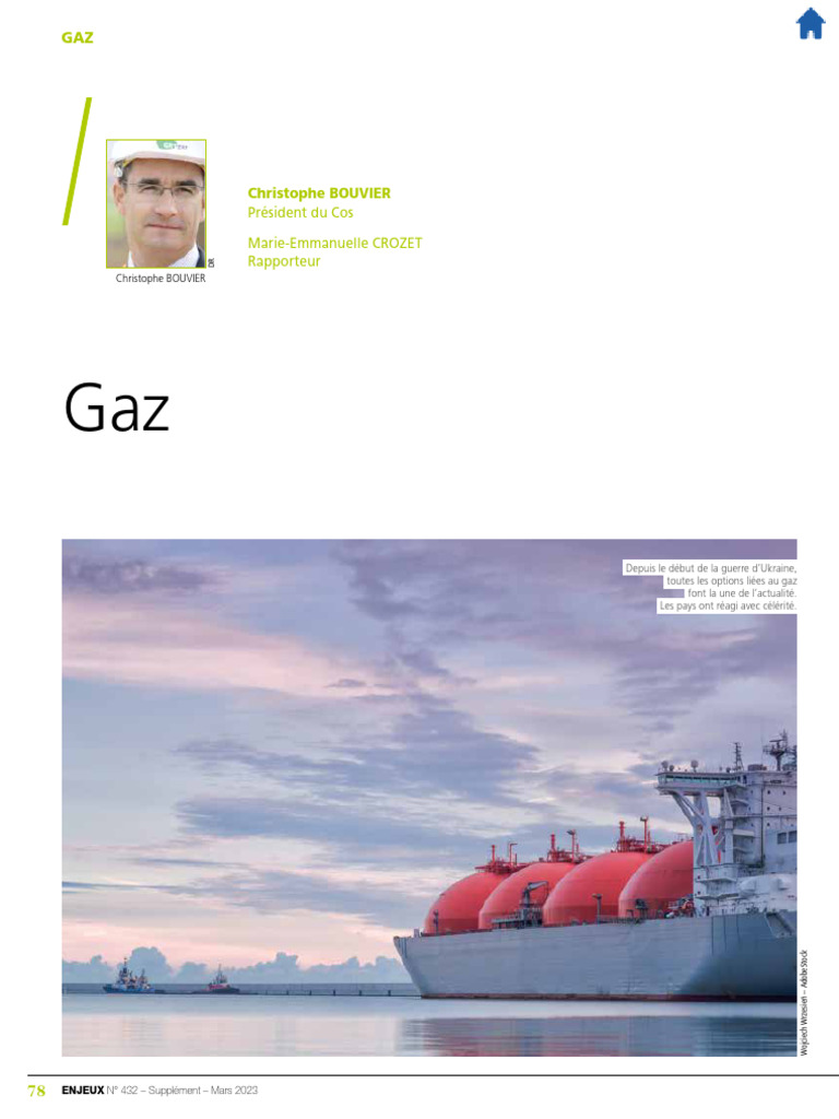 Normalisation du gaz et transition énergétique | PDF | Gaz naturel ...