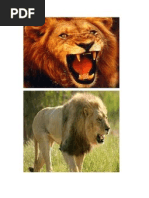 Contoh kerangka pikir