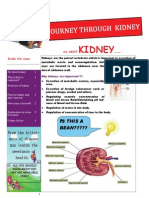 Journey of Kidney