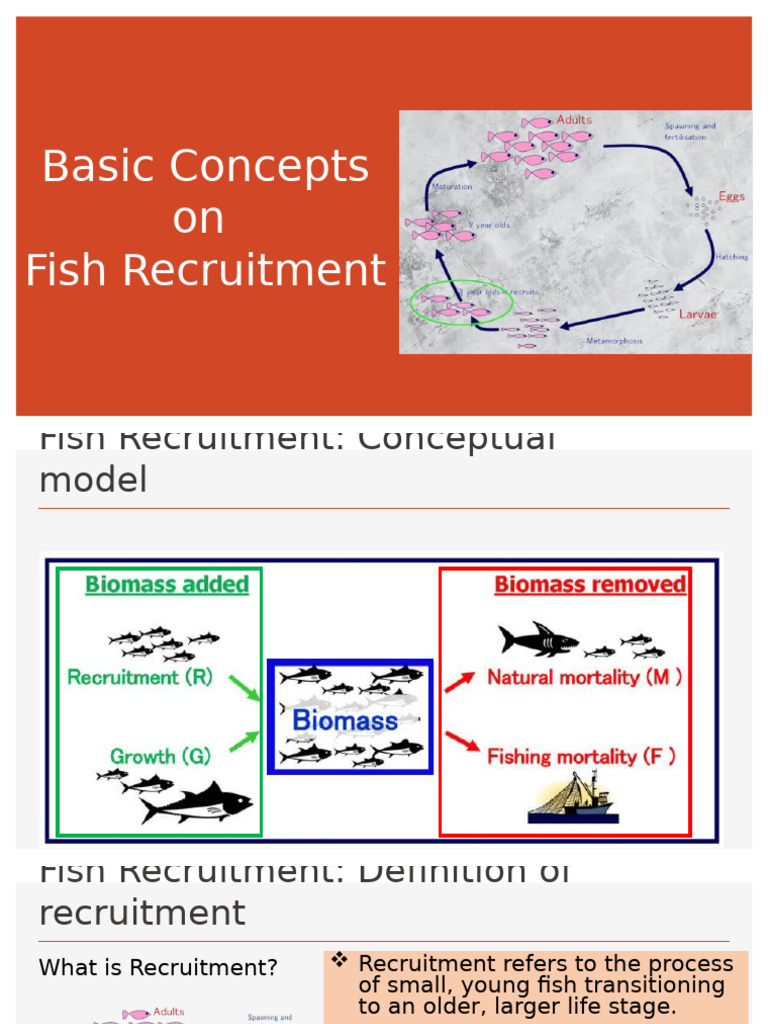 Understanding Fish Recruitment Dynamics | PDF | Predation | Egg