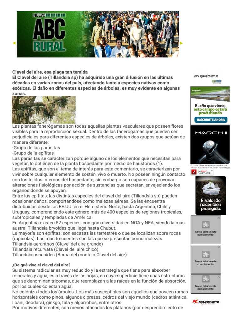 Nuevo Abc Rural | PDF | Plantas | Hoja