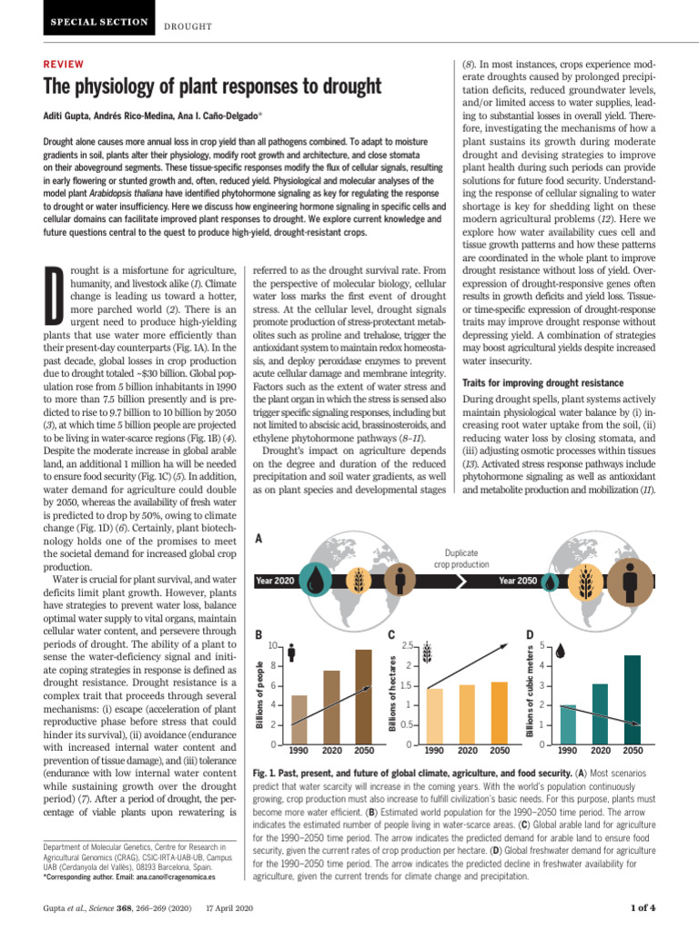 The physiology of plant responses to drought | PDF | Root | Stoma
