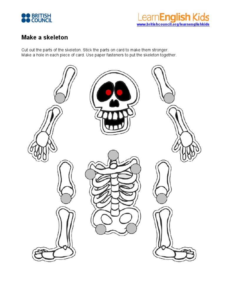 Make A Skeleton Activity 1 | PDF | Home & Garden