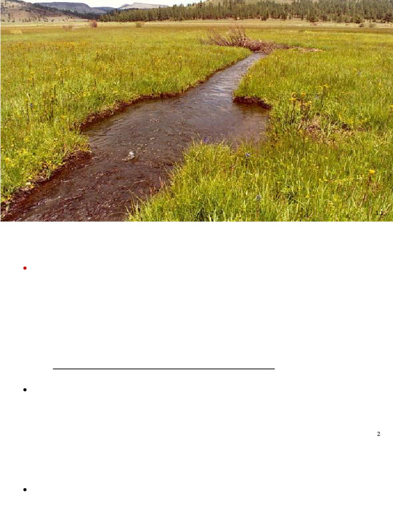 Le3 UnSteady Flow | PDF | Fluid Dynamics | Navier–Stokes Equations