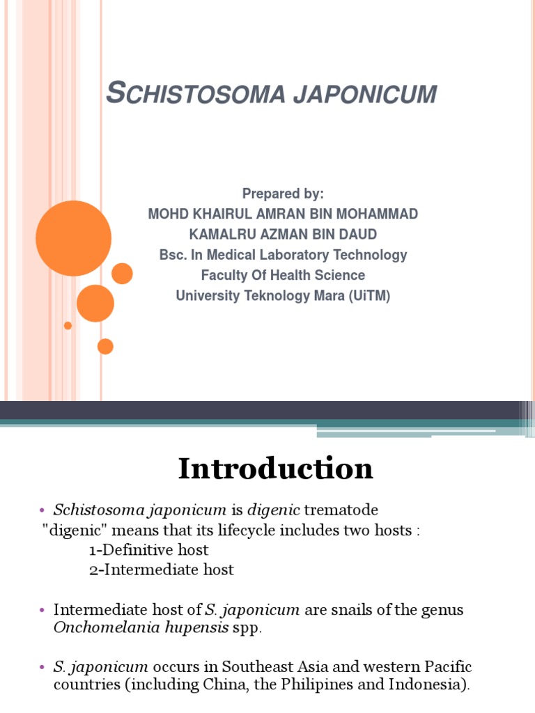 Schistosoma japonicum Overview and Impact | PDF | Medical Specialties ...