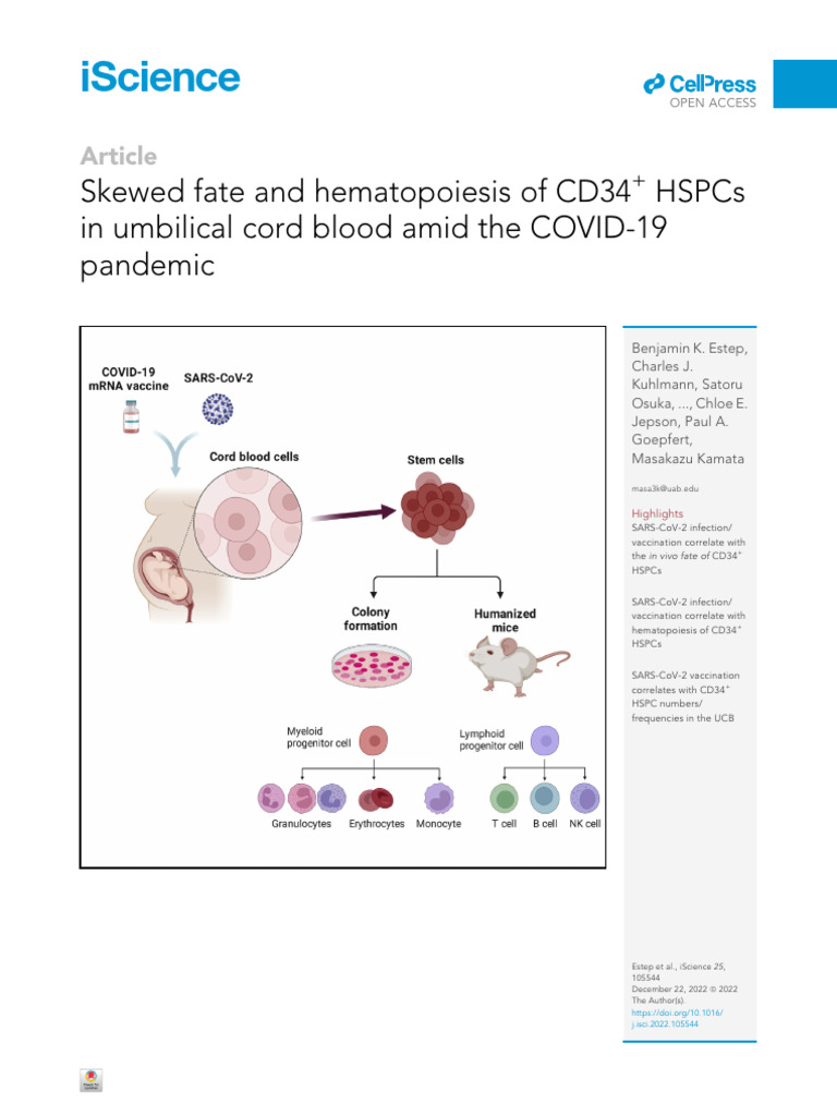 Skewed Fate and Hematopoiesis of CD34 + HSPCs | PDF | Hematopoietic ...