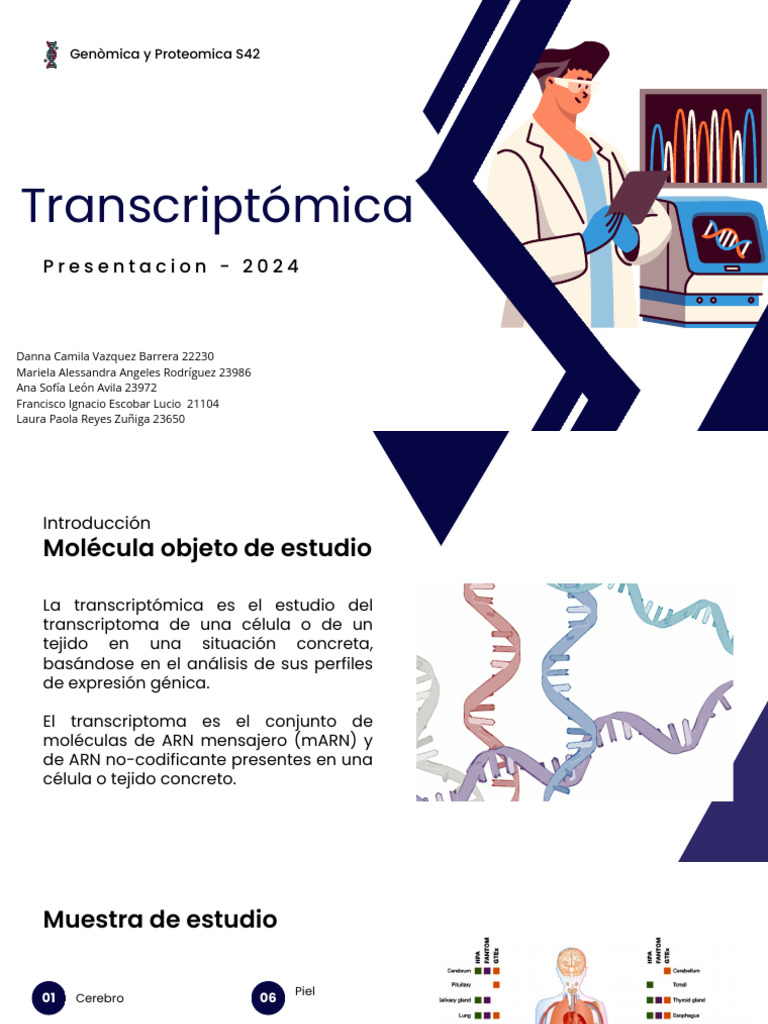 Introducción a la Transcriptómica | PDF | Transcriptoma | La expresion ...