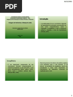 Ciclagem de Nutrientes Versus Manejo de Solo