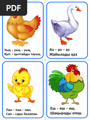 Веб-камералар арқылы тірі секс