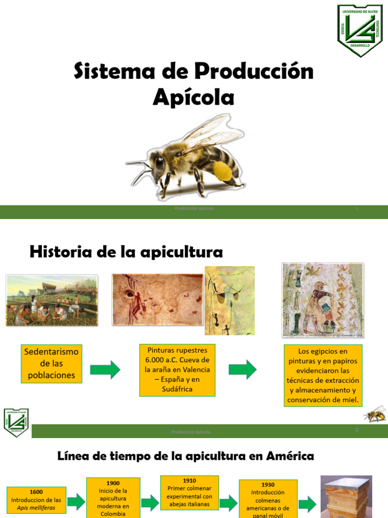 Historia y Producción de la Apicultura | PDF | Apicultura | Western ...