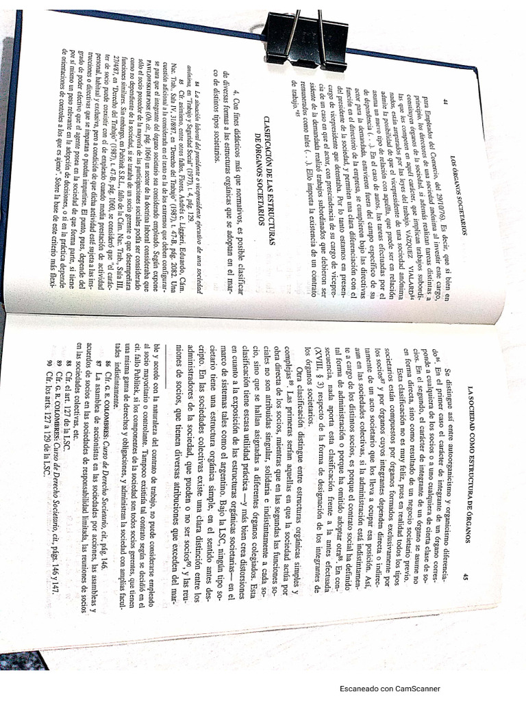 Clasif estruc orgs societarios pdf