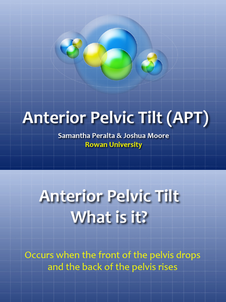 APT Guide for Sedentary Workers | PDF | Pelvis | Anatomical Terms Of Motion