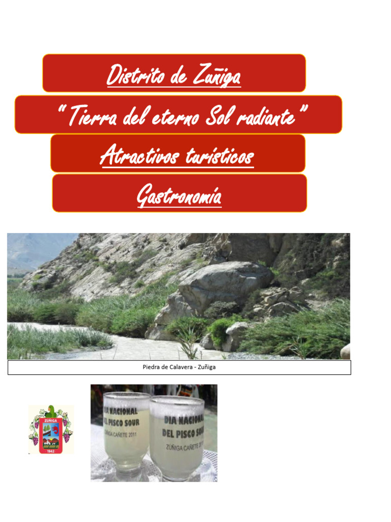 ZUÑIGA | PDF