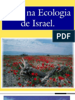 Jesus na ecologia de Israel: Oliveiras e videiras