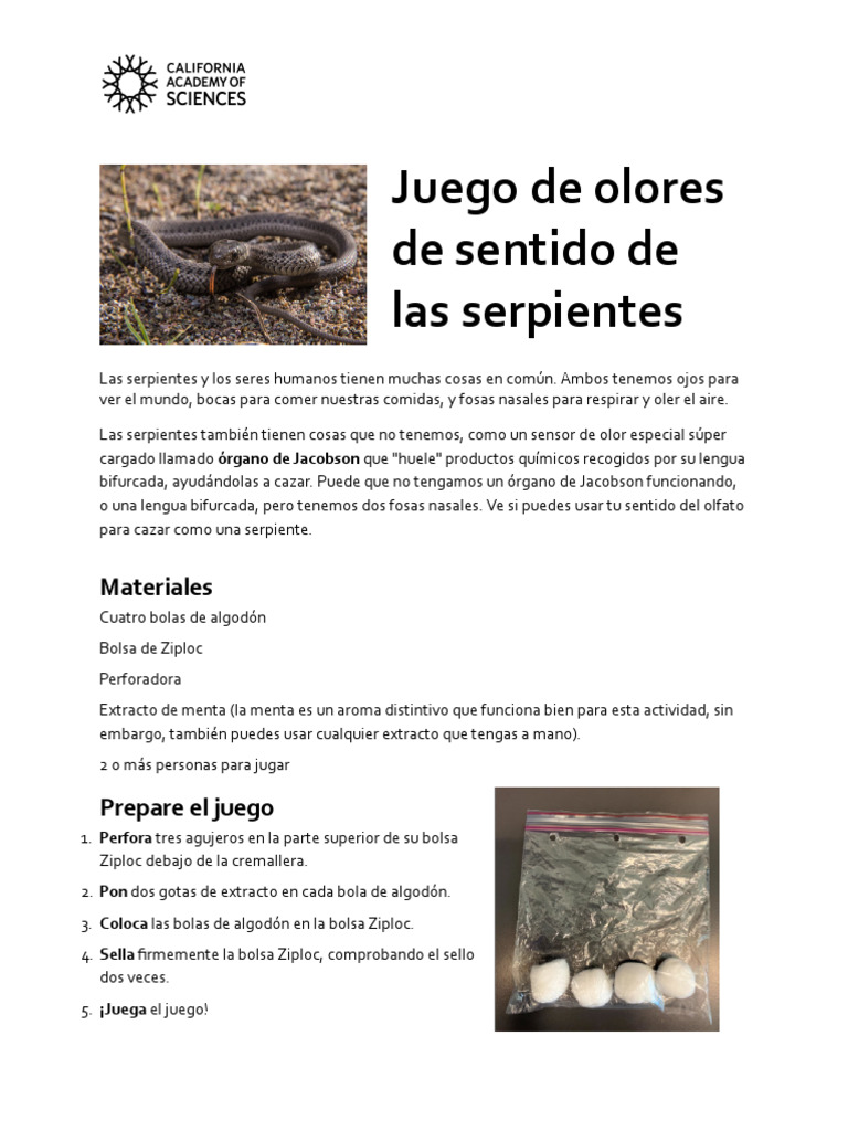 Sah Snakes Snake Sense Scents Spanish 210722 | PDF | Serpiente | Sonido