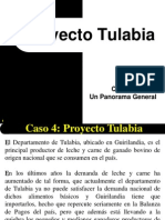 Proyecto Tulabia: Un panorama general