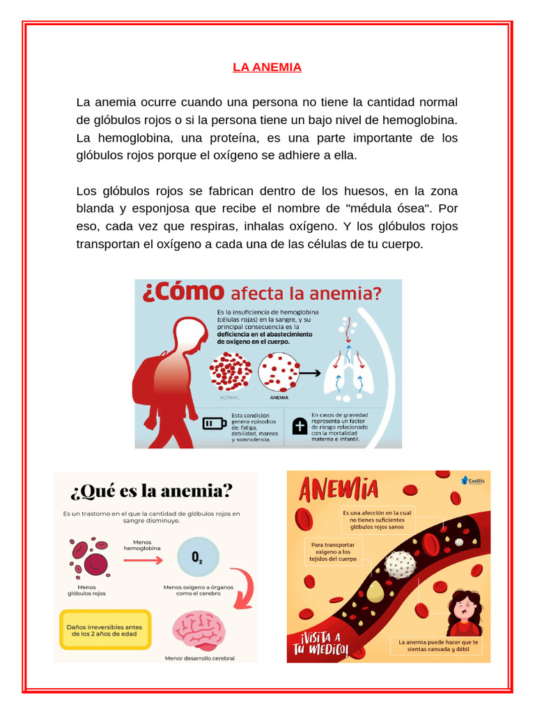 La Anemia | PDF | Glóbulo rojo | Sangre