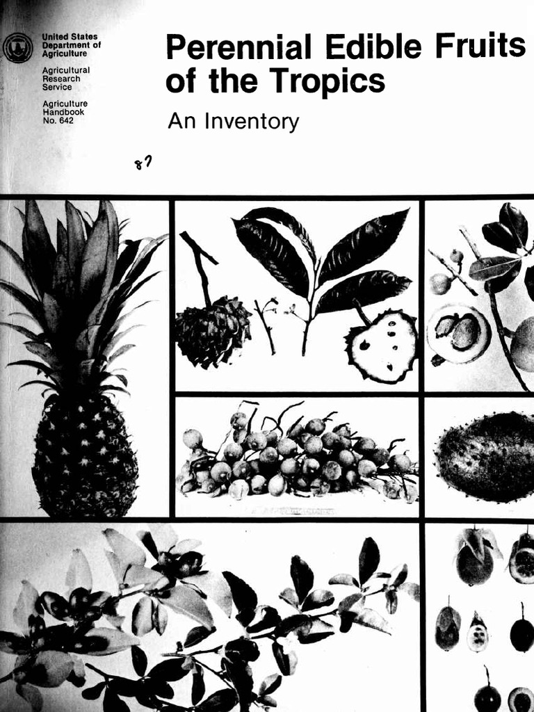 Tropical Edible Fruits Inventory Guide | PDF | Foods | Fruit