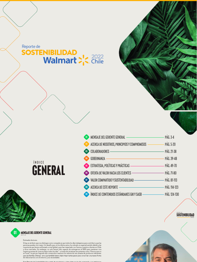 Reporte de Sostenibilidad 2022 Walmart | PDF | Residuos | Desarrollo ...
