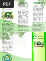 Triptico-Del Medio Ambiente