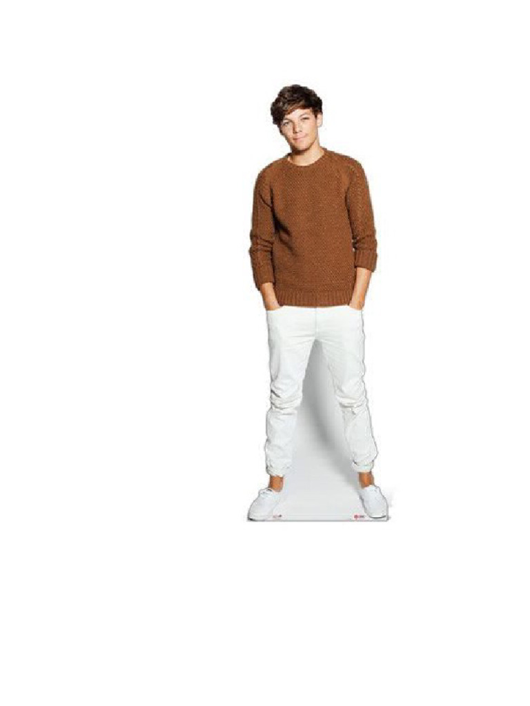 Figuras de One Direction | PDF