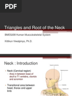 Suboccipital Triangle Anatomy Overview | PDF | Neck | Vertebra