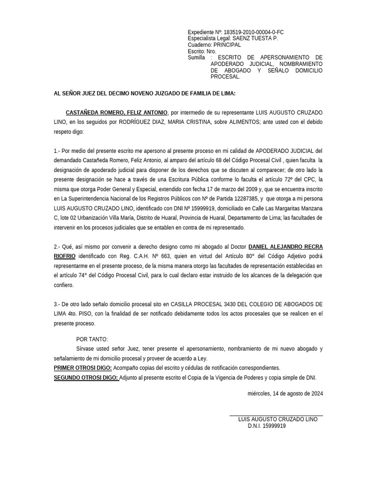 Apersonamiento de Apoderado Judicial | PDF | Documento de identidad