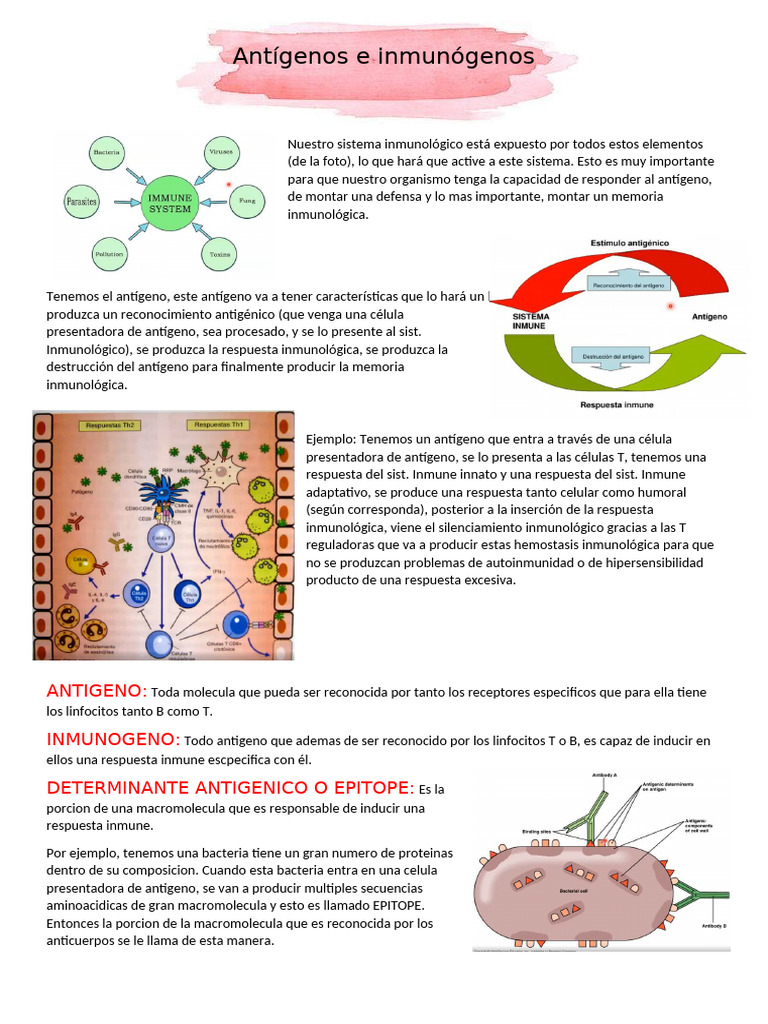Antígenos e Inmunógenos | PDF | Antígeno | Sistema inmune
