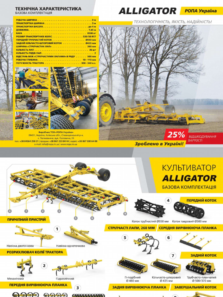 Alligator | PDF