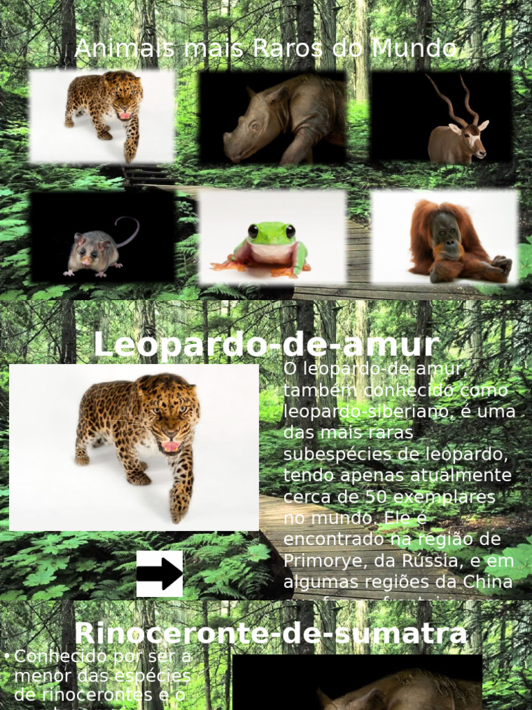 Animais Raros e Ameaçados do Mundo | PDF