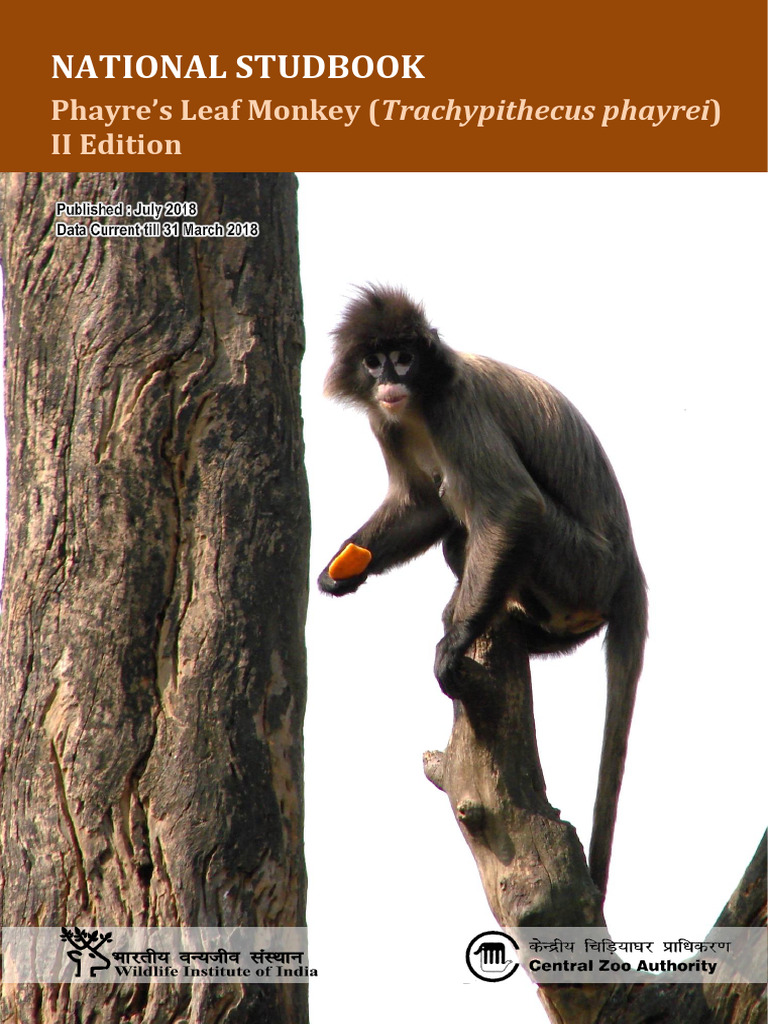 Phayre's Leaf Monkey (Trachypithecus Phayrei) - Final (25 July) | PDF ...
