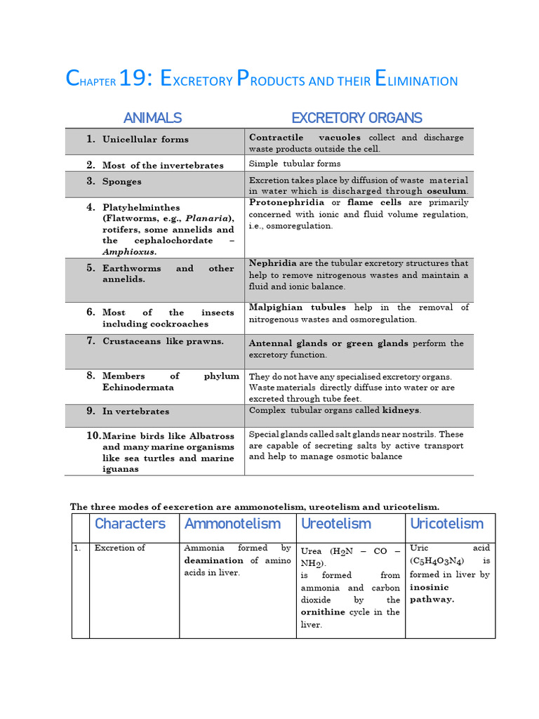 Excretory Systems in Animals and Humans | PDF | Kidney | Urinary System