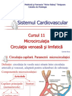 CardioVascular 11