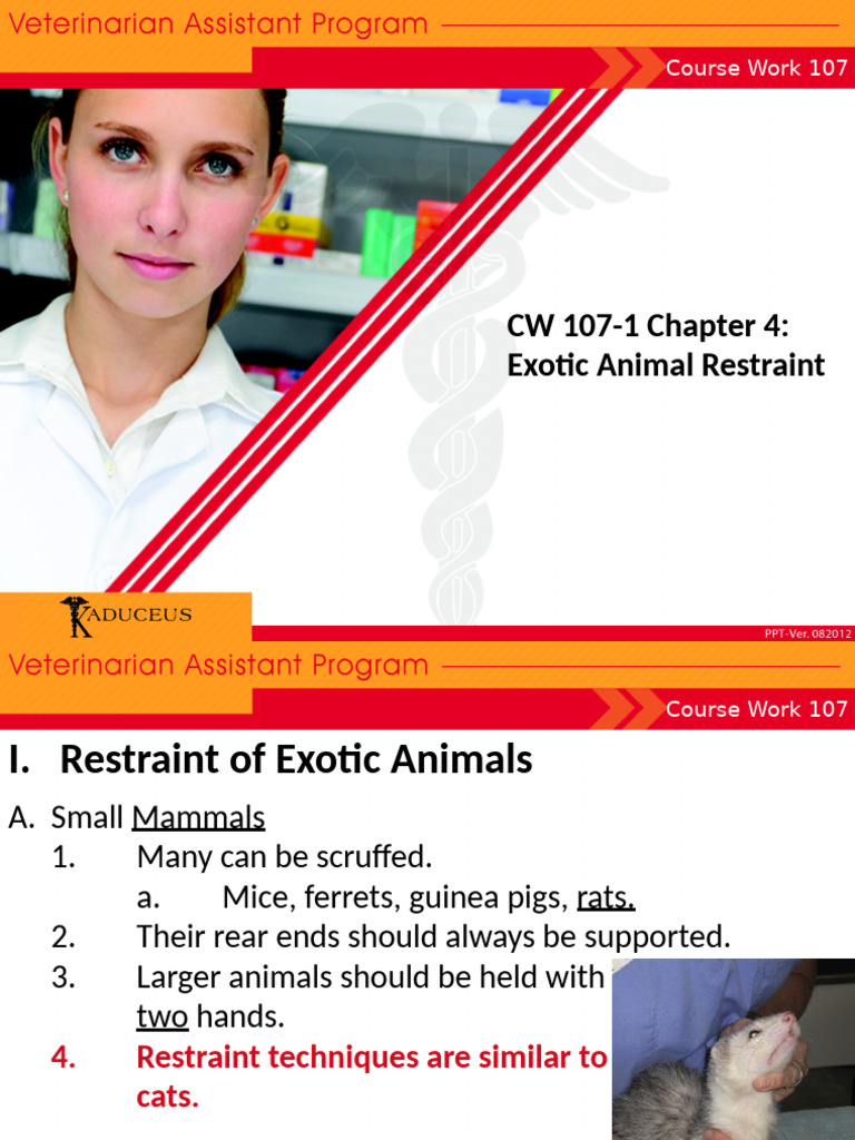 Exotic Animal Restraint Techniques Guide | PDF | Turtle | Lizard