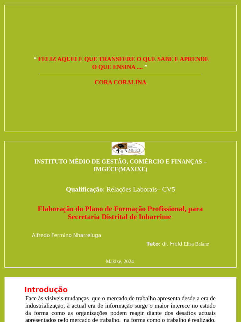Plano de Formação Profissional Inharrime | PDF | Desenvolvimento ...