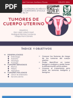 Reynajaj | PDF | Parto | El embarazo