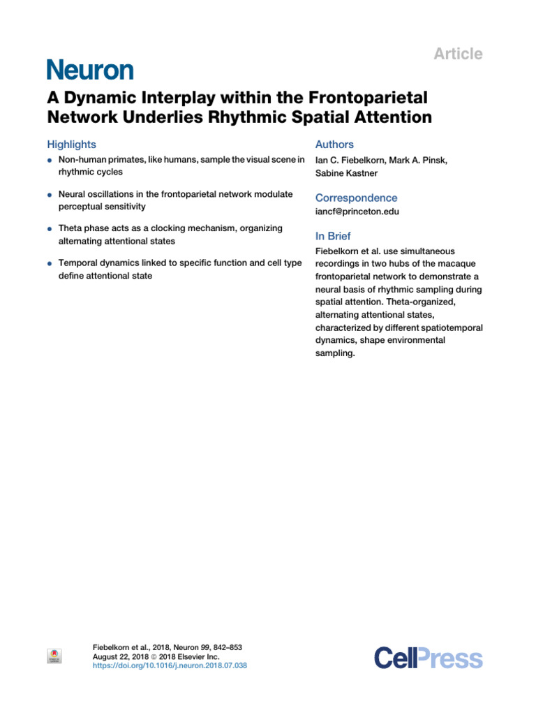 A Dynamic Interplay Within The Frontoparietal Netw | PDF | Attention ...