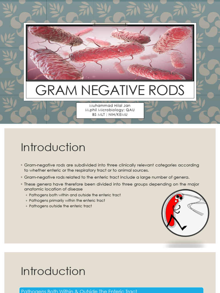 Overview of Gram-Negative Rods | PDF | Pseudomonas Aeruginosa ...