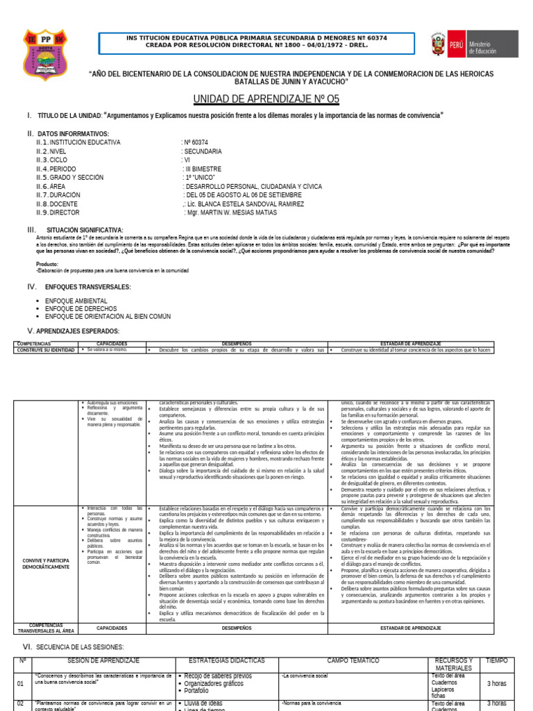 V Unidad de Aprendizaje DPCC 2024 1° | PDF | La sexualidad humana | Las ...
