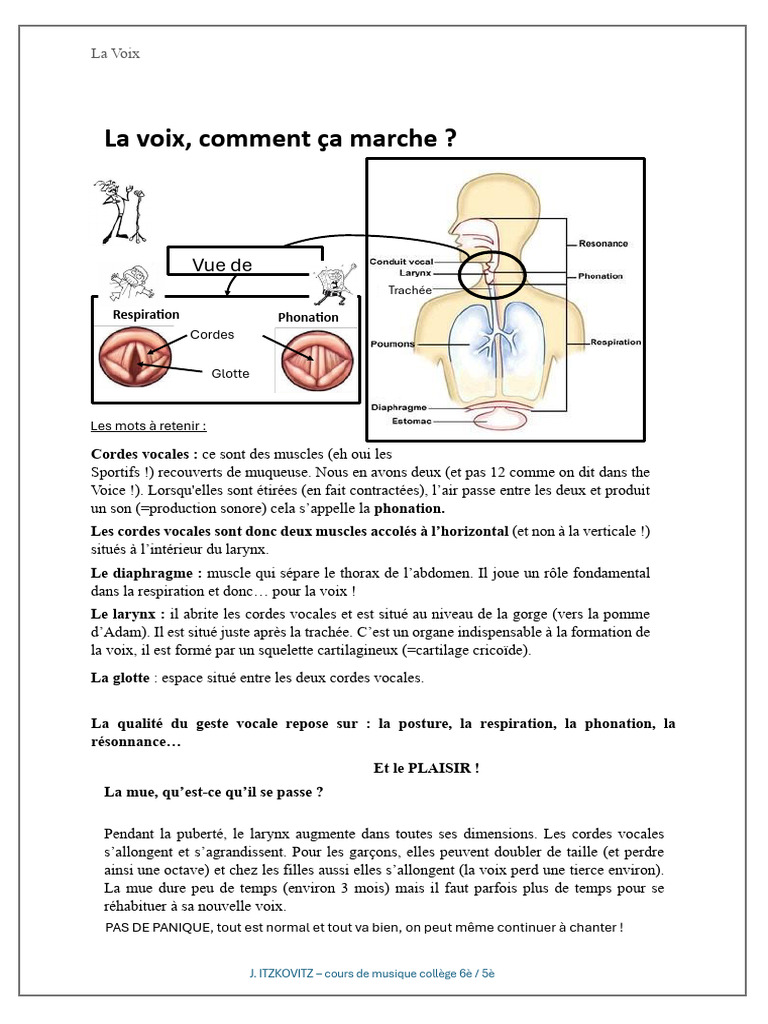 Comprendre la voix et ses tessitures | PDF | Voix humaine | Musique vocale