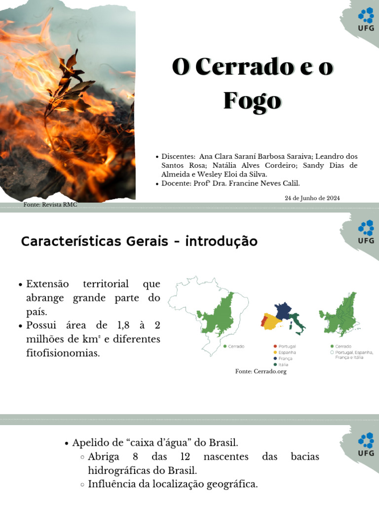 O Fogo no Cerrado: Impactos e Manejo | PDF | Pasto | Incêndios