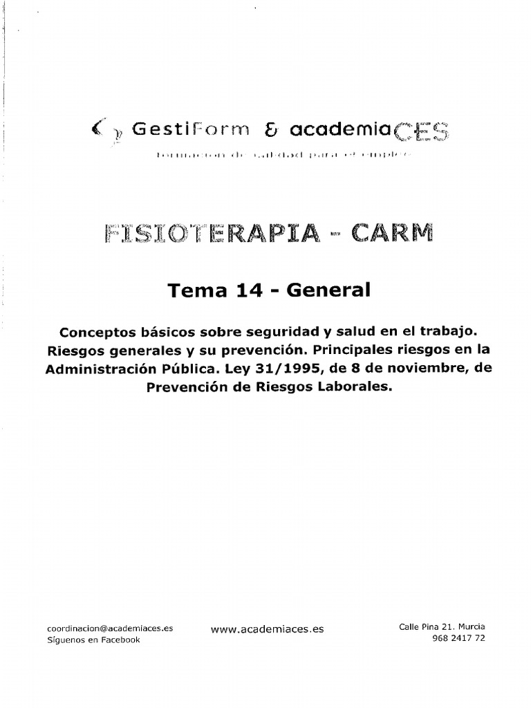 Tema 14 Conceptos Basicos Sobre Seguridad Y Salud En El Trabajo Pdf
