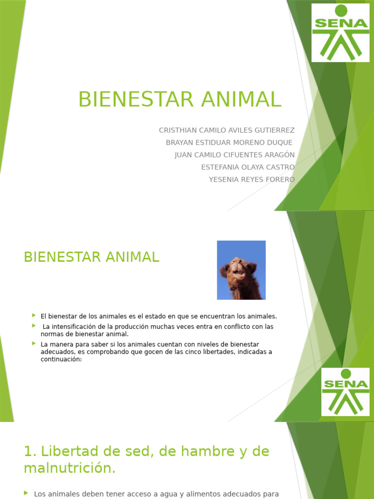 Cinco Libertades del Bienestar Animal | PDF | Bienestar de los animales ...
