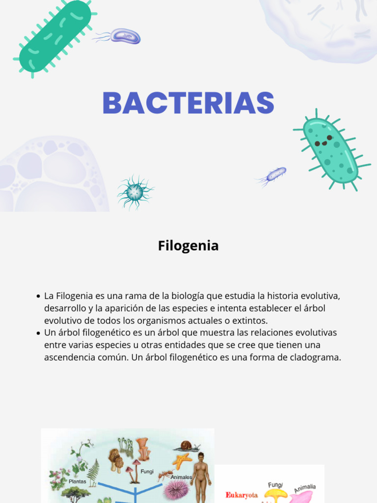 Estructura y Funciones de las Bacterias | PDF | Membrana celular | Las ...