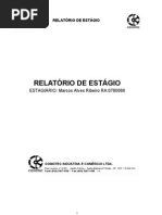 Relatorio de Estagio Meu