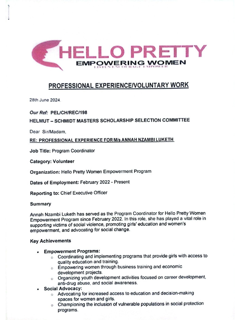 Professional Experience | PDF