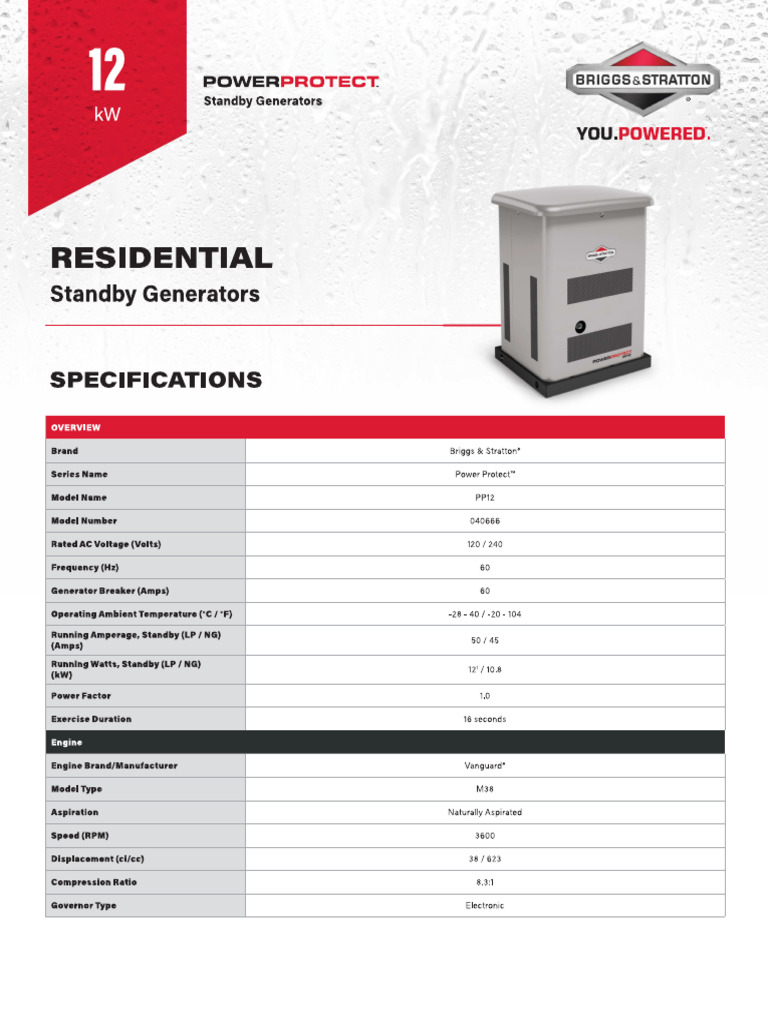12KW Briggs | PDF