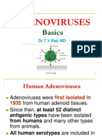 Adenovirus Diseases